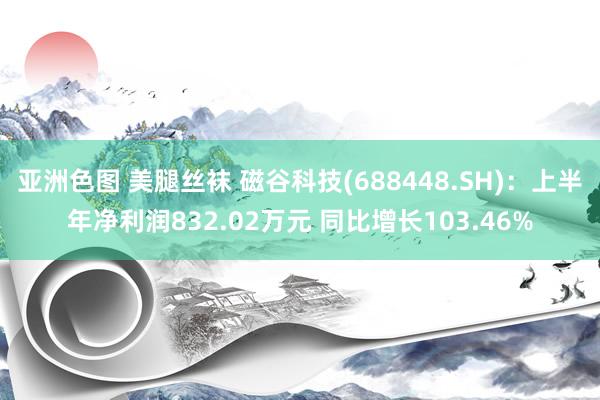 亚洲色图 美腿丝袜 磁谷科技(688448.SH)：上半年净利润832.02万元 同比增长103.46%