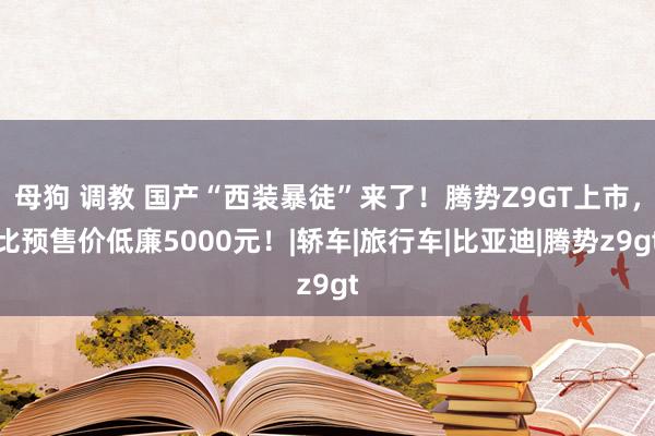 母狗 调教 国产“西装暴徒”来了！腾势Z9GT上市，比预售价低廉5000元！|轿车|旅行车|比亚迪|腾势z9gt